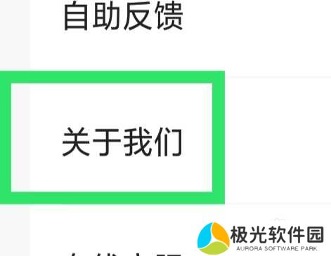 极融借款APP怎样查看官方网站