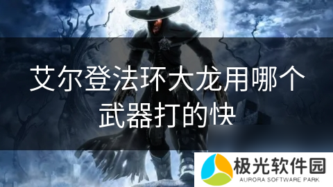 艾尔登法环大龙用哪个武器打的快