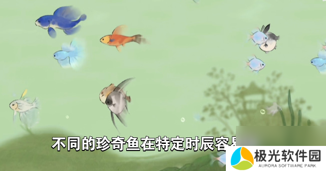 桃源深处有人家钓鱼最合适时机钓鱼时间